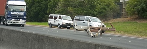 Steel debris litters Auckland's Southern Motorway. Photo / Liz Buckley