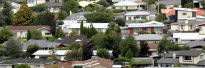 Bay of Islands house prices have risen.