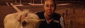 Constable Vicky Holden with a surprise shopper in Havelock North. PHOTO / SUPPLIED
