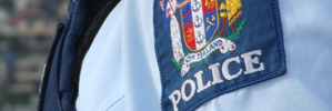 The officer suffered moderate to serious injuries to his entire body during the attack.