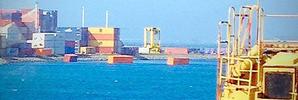 The containers float in Wellington Harbour. Photo / Newstalk ZB / Twitter