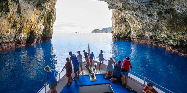 Cruising through Riko Riko, the world's largest sea cave. Photo / Dive Tutukaka