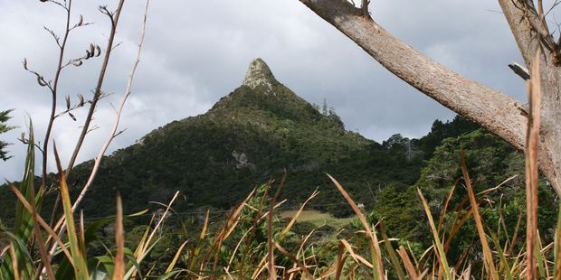 Locals have a soft spot for Tokatoka mountain, said by some to be an aid to fertility at certain times. Photo / Jim Eagles