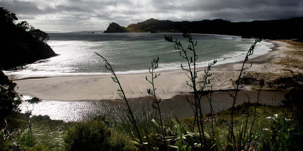 Overlooking Medlands Beach, Great Barrier Island. Photo / Natalie Slade