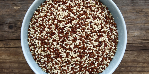 Quinoa.