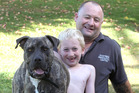 Graeme Hall with son Preston, 6, and dog Buddy. PHOTO / DUNCAN BROWN Graeme Hall with son Preston, 6, and dog Buddy. PHOTO / DUNCAN BROWN