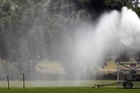 Hastings District Council is doing its bit to reduce water consumption by changing its watering schedule. Photo / Paul Taylor Hastings District Council is doing its bit to reduce water consumption by changing its watering schedule. Photo / Paul Taylor