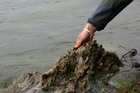 ALL CLEAR: Didymo has not yet been found in North Island rivers.PHOTO/FILE ALL CLEAR: Didymo has not yet been found in North Island rivers.PHOTO/FILE