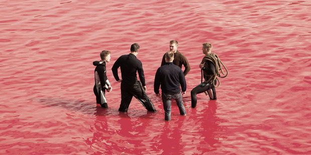 Whale hunters in a sea of red. Photo / Eliza Muirhead / Sea Shepherd Global 