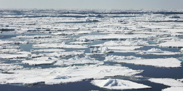 Ice floes floating on water in the Ross Sea, Antarctica. Photo / Getty Images