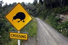Picking the right savings route is the most important decision. Photo / NZME.