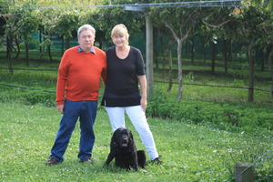 Allan and Robynne Tibble, owners of KiwiBerry Lodge and Orchard. Photo / Supplied