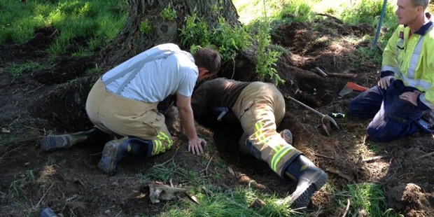 Cromwell firefighters rescuing the dog. Photo / Supplied