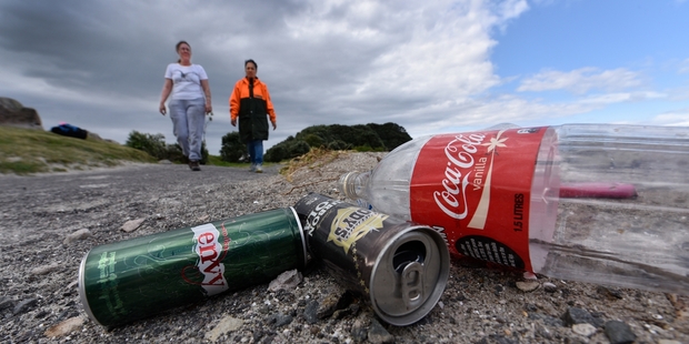 HEARTBROKEN: Mauao Area Wildlife Trust chairwoman Julia Graham (left) says the damage done to penguins by people drinking on Moturiki Island at night is horrific. Pictured with DoC partnership ranger Tireni Ratema. PHOTO/GEORGE NOVAK