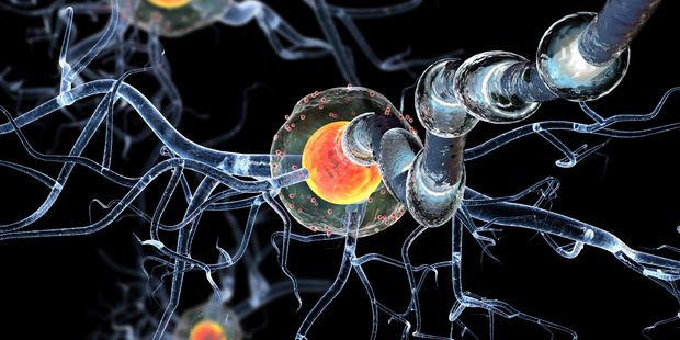 New therapies to combat inflammatory and autoimmune diseases could arise from this study. Photo / iStock