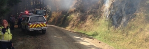 ON JOB: Firefighters and a helicopter battled to contain a blaze caused when electricity jumped from powerlines to a tree.