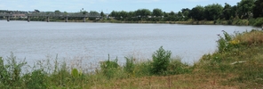 FOUND: The spot where a man's body was found yesterday morning.