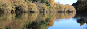 Waikato river. Photo / Thinkstock