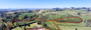 POTENTIAL: The Ohauiti land which may be developed for up to 180 new homes.PHOTO/SUPPLIED