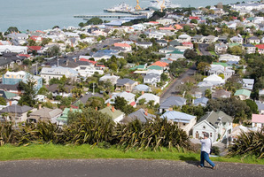 Almost three quarters of the change - 10 percent - occurred in the last three months to November. Photo / NZME.