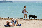 Aucklanders enjoy the summer heat at Mission Bay. Photo: Greg Bowker Aucklanders enjoy the summer heat at Mission Bay. Photo: Greg Bowker