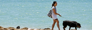 Aucklanders enjoy the summer heat at Mission Bay. Photo: Greg Bowker