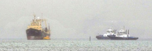 Korean-flagged Melilla 201 is helped by a pilot vessel and two Port Otago tugs in Otago Harbour near Aramoana last night. Photo / Gregor Richardson.