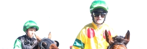 Jonathan Riddell, right, and Saint Kitt enter the birdcage with Samantha Collett and Cajun behind. Photo / Duncan Brown