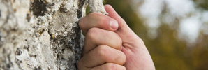 Photo / Thinkstock