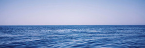 The man was collecting shellfish offshore with friends when he appeared to get into difficulties in the water. Photo / Thinkstock