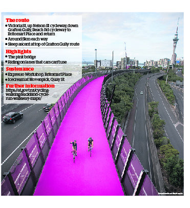 281215CYCLEWAY.jpg