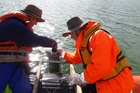 SHAKY RESEARCH: Scientists extract core samples from the the bed of Lake Tutira. PHOTO/SUPPLIED SHAKY RESEARCH: Scientists extract core samples from the the bed of Lake Tutira. PHOTO/SUPPLIED