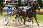 Mark Purdon drives Adore Me (13) to victory in the NZ Trotting Cup at Addington in November. Photo / Getty Images Mark Purdon drives Adore Me (13) to victory in the NZ Trotting Cup at Addington in November. Photo / Getty Images