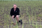 Heinz Wattie's move to import asparagus is a concern for Lindsay Kay. Photo / File Heinz Wattie's move to import asparagus is a concern for Lindsay Kay. Photo / File
