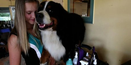 http://media.nzherald.co.nz/webcontent/image/jpg/20159/CRUFTSFINAL_460x230.jpeg