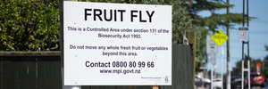 A fruit fly warning sign on the corner of Sandringham Road and Royal Terrace. Photo: Brett Phibbs.