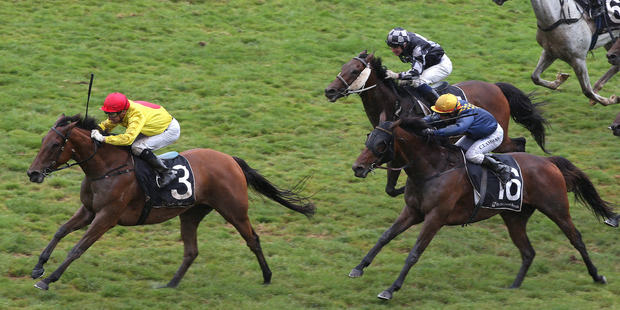 Decorah draws away in the $200,000 City Of Auckland Cup at Ellerslie yesterday. Photo / Trish Dunell