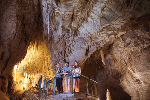 Ruakuri Cave's impressive entrance. Photo / Supplied.