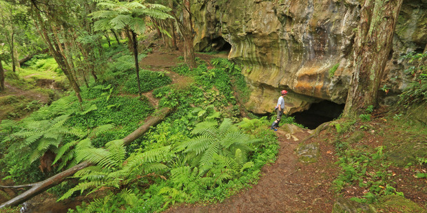 Visiting Waipu Caves is like taking a trip into another world. Photo / Supplied