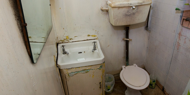 How did they see the potential in this? Photo / Jason Oxenham