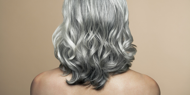 Scientists identify the gene that turns every shade to silver and say a drug to stop it can be produced. Photo / Getty
