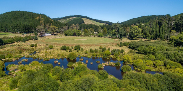 Bankhouse has one of only two private cricket pitches in the country. Photo / Bayleys