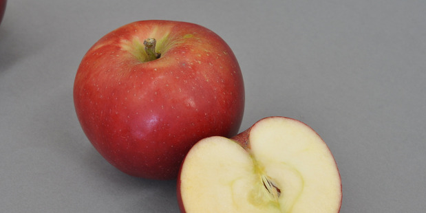 The weather is giving New Zealand's apple crop another boost.