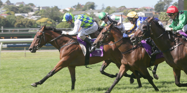 Rangipo (left) will go around as favourite in the $750,000 Derby.