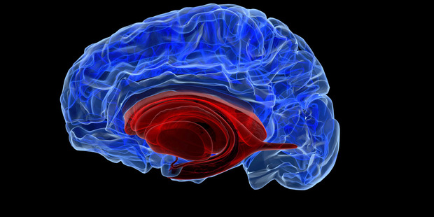 Researchers have proven that it is possible to spot the plaques which cause the disease and pinpoint the moment that they trigger Alzheimer's. Photo / iStock