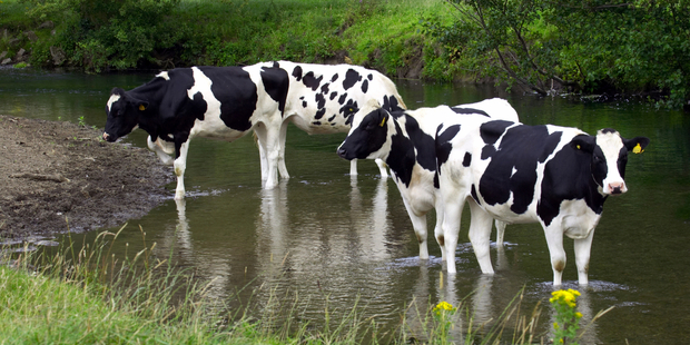 Regional councils have been making sure farms are complying with the rules and people weren't polluting the way they used to. Photo / iStock