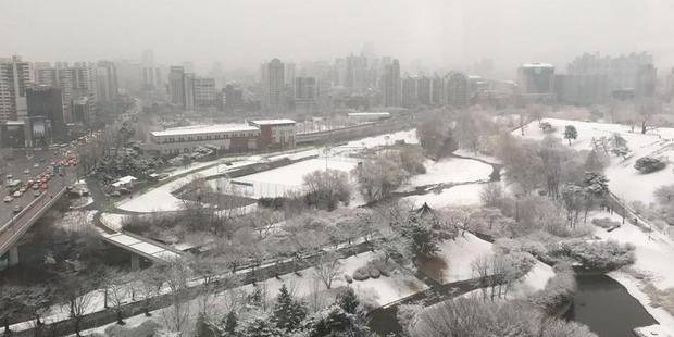 Snow in Seoul is threatening to disrupt New Zealand's Davis Cup tennis tie against South Korea this week.
