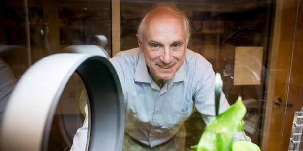 Dr Klaus Lackner uses captured CO2 to nourish greenhouse plants. Photo / The Washington Post