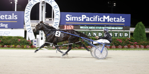 Lazarus easily wins the $250,000 Woodlands Northern Derby tonight. Picture / Michael Craig
