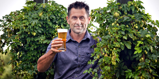 Top Harvest: Steve Webb grows his own hops for homebrew beer. Photo/Andrew Warner